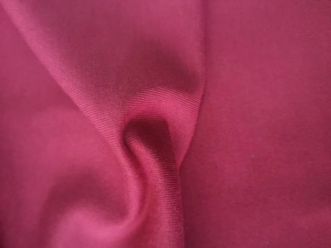 100% Polyester Spandex Knitted DTY Brush Single Jersey Terry Fabric