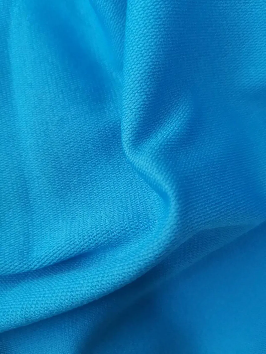 100% Polyester Spandex Knitted DTY Brush Single Jersey Terry Fabric